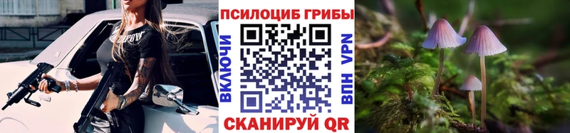 наркошоп  Окуловка  Галлюциногенные грибы MAGIC MUSHROOMS 